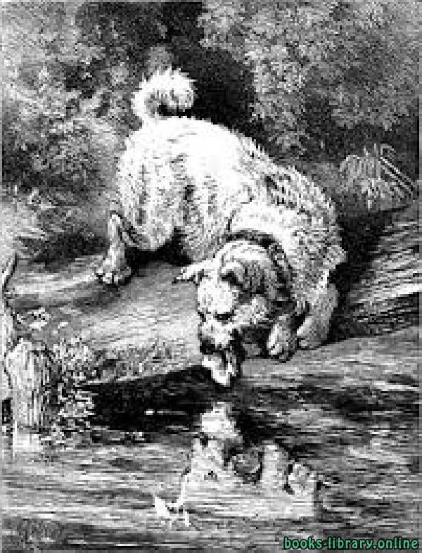 قصة The Dog And The Oyster