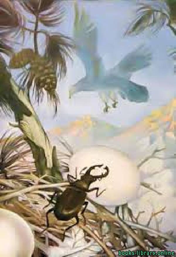 قصة The Eagle And The Beetle