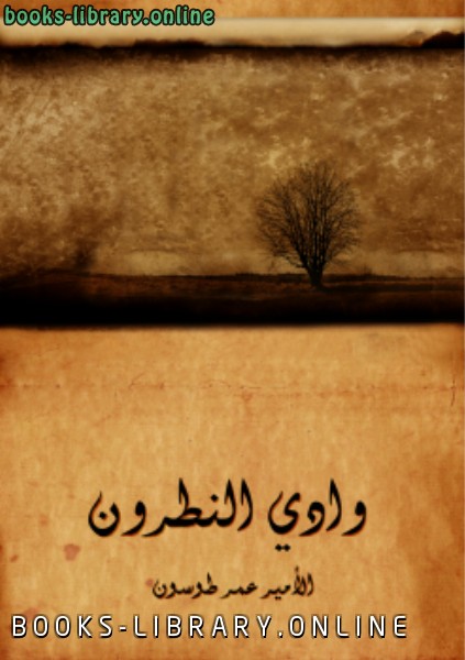 وادي النطرون